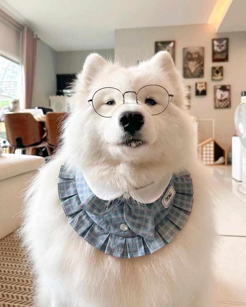 Image uploaded by amrace