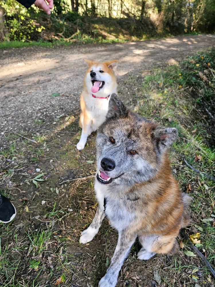 Image ajoutée par Romain