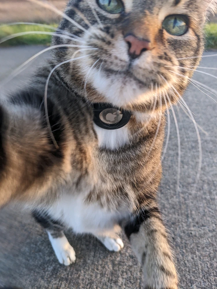 Image uploaded by Chelsea