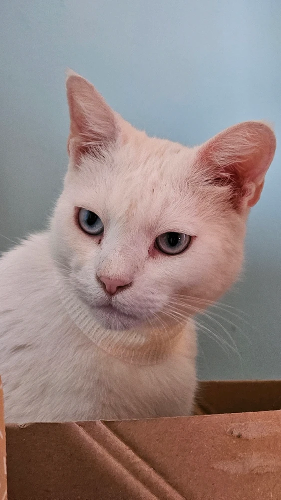 Immagine caricata da Claudia