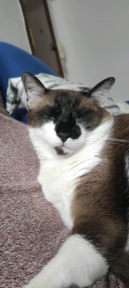 Imagen subida por Esther