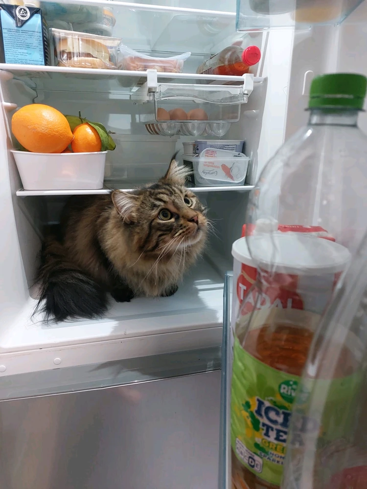 Image uploaded by Ash