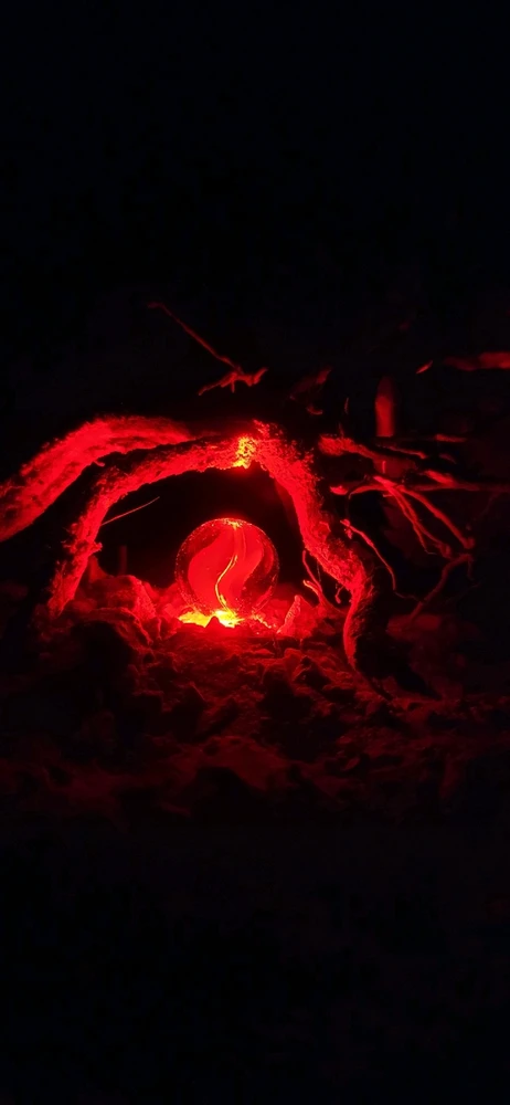 Image uploaded by Erik