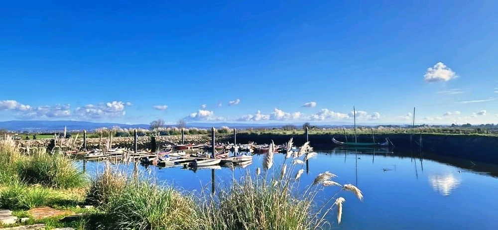 Image uploaded by Paulo Jorge Cruz Almeida