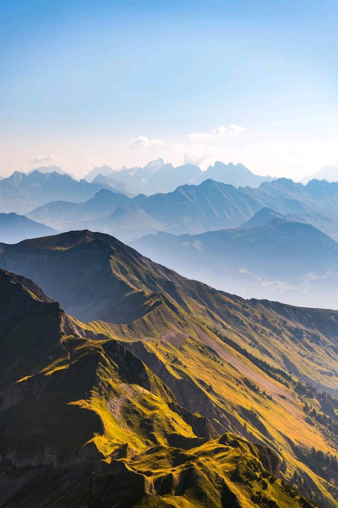 Image uploaded by John