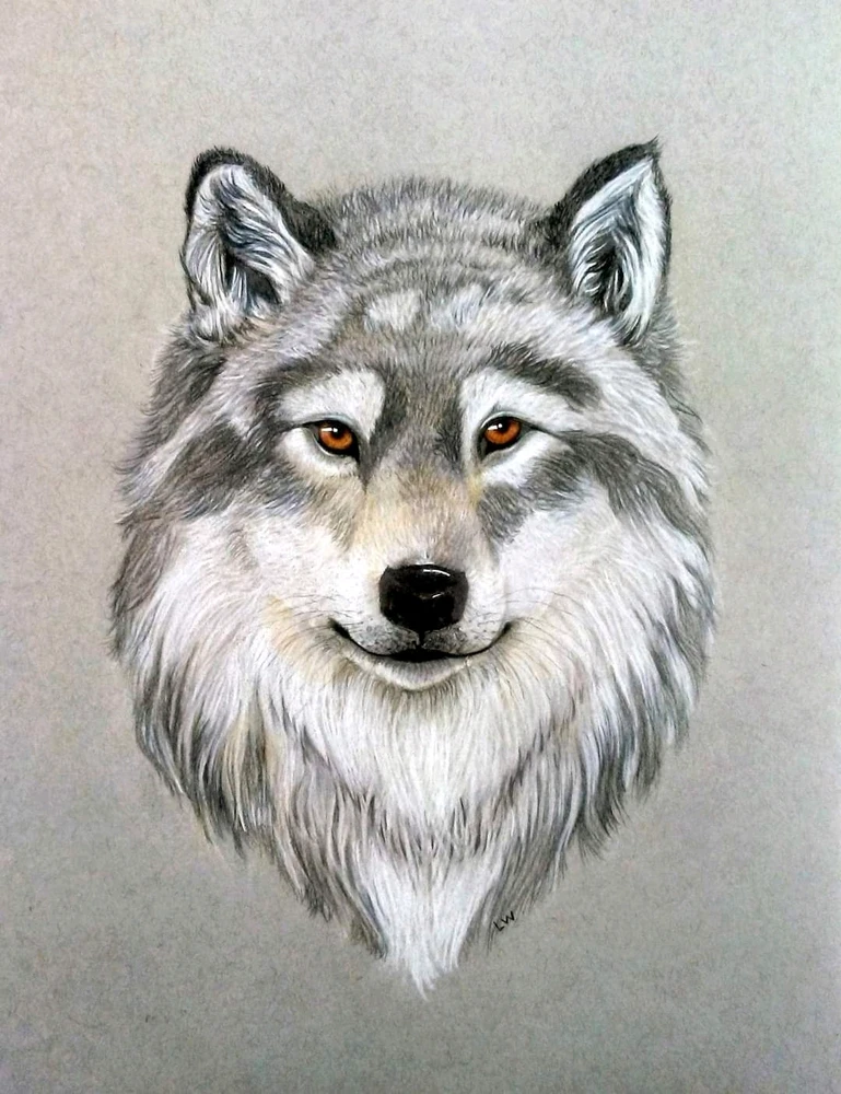 Image uploaded by Lin