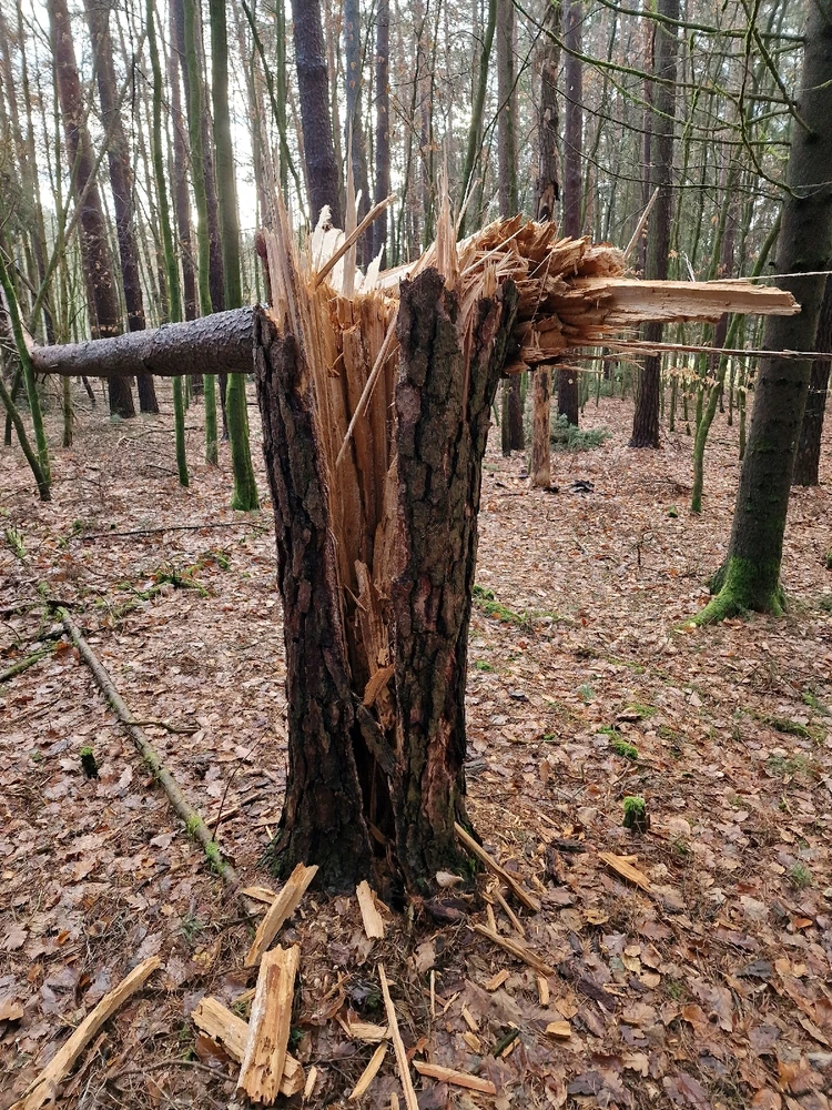Bild hochgeladen von Moritz