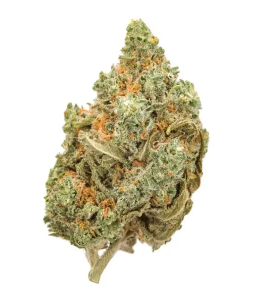 Zdjęcie dodane przez Wiktor