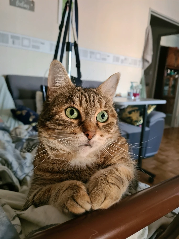 Image ajoutée par Johnny