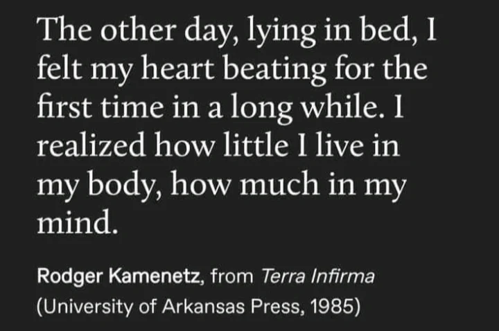 Image uploaded by Amy