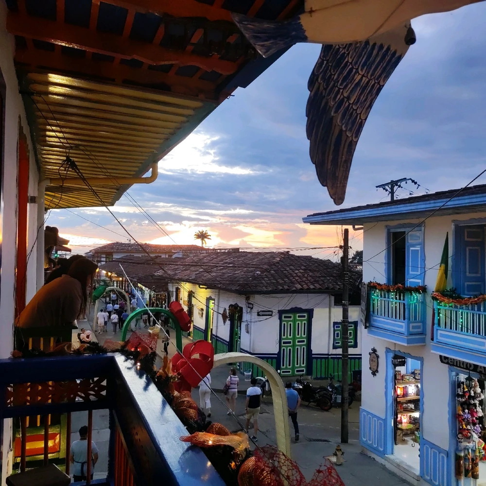 Image uploaded by Juan Felipe