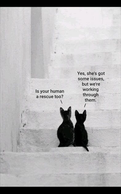 Image uploaded by Ree