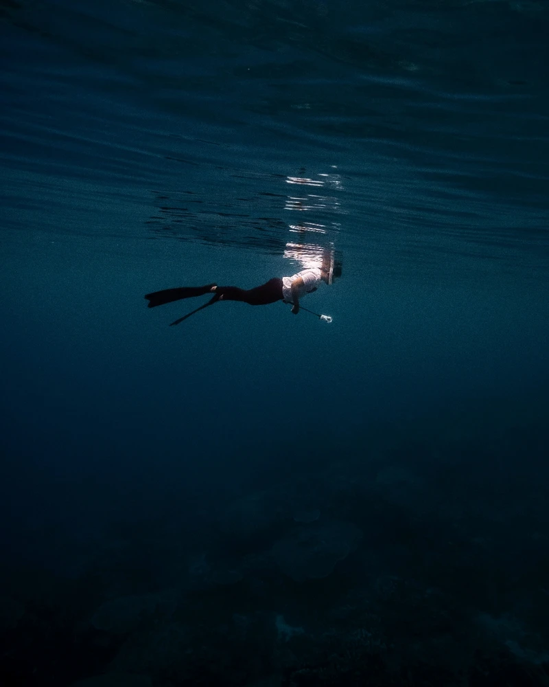 Image uploaded by Angel Dymph