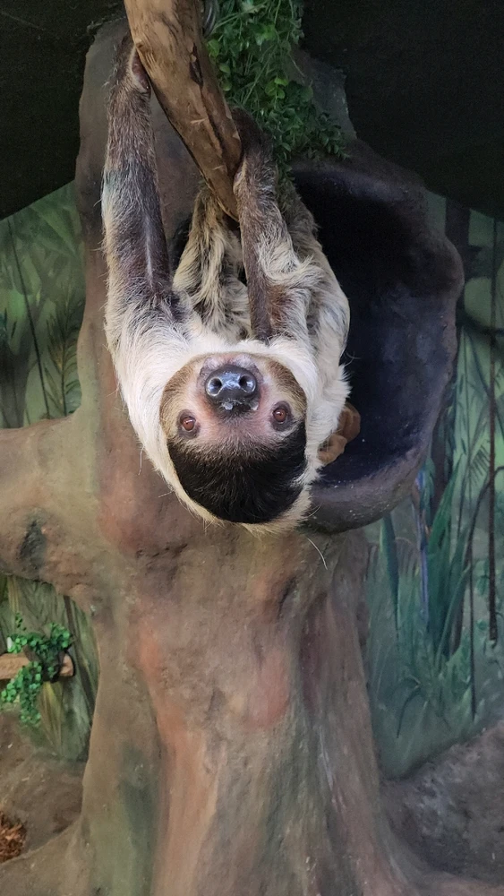 Image uploaded by Dandy