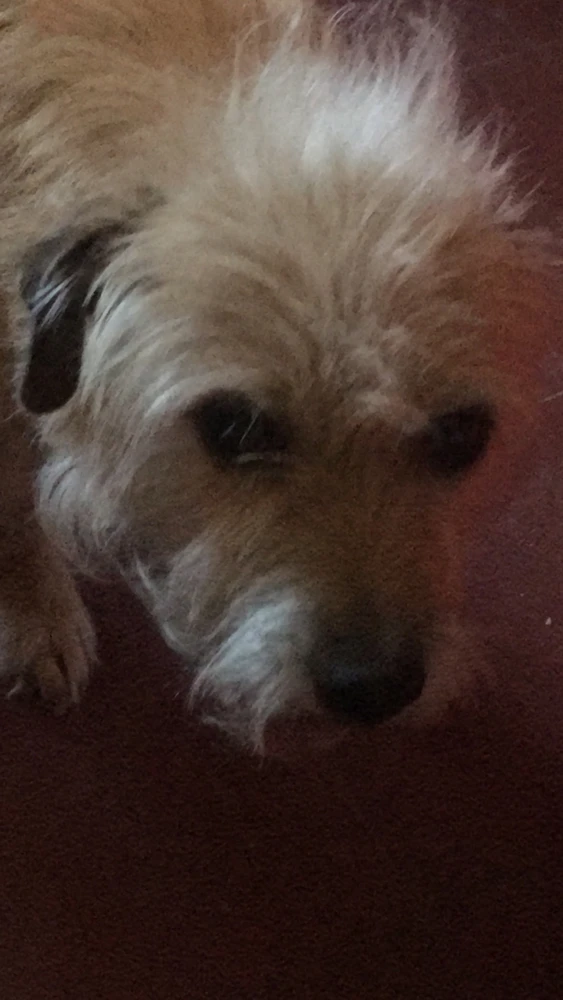 Imagen subida por Mariana