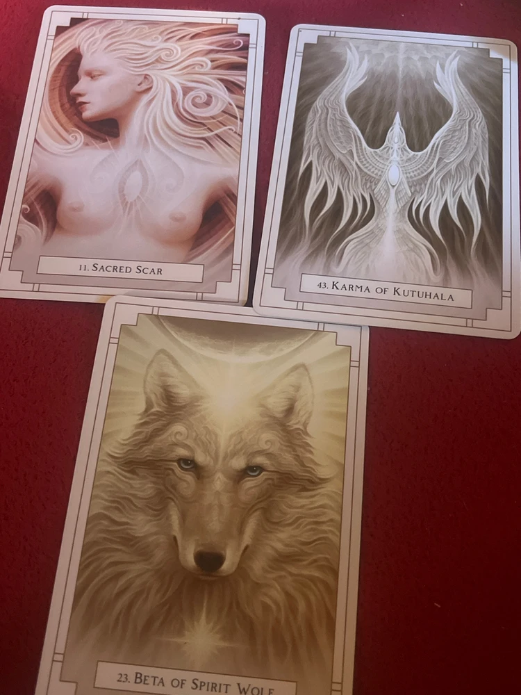 Image uploaded by Sierra