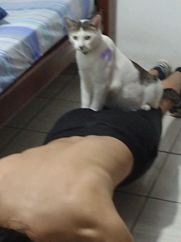 Imagem enviada por Georji