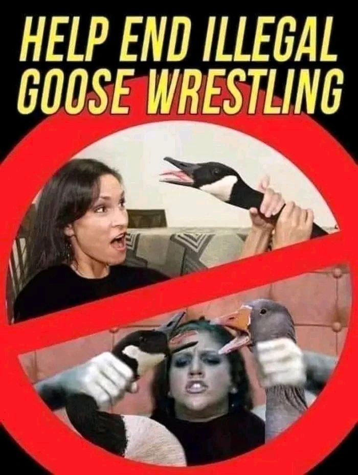 Зображення завантажив Льоня