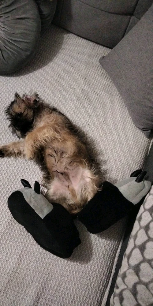 Zdjęcie dodane przez Sebastian