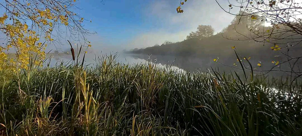 Image uploaded by Glenn