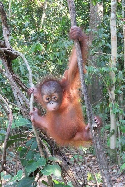 Image uploaded by Jake