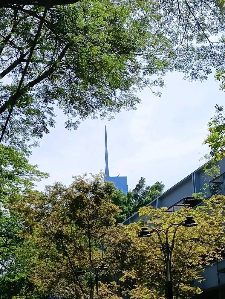 Menara Merdeka 118 from Taman Botani, Kuala Lumpur.