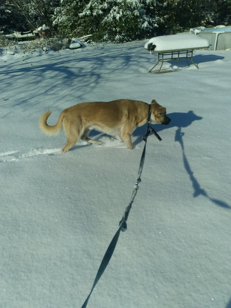 Image uploaded by Halie