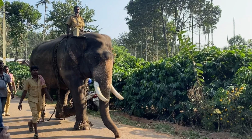 Image uploaded by Anoop Keyar