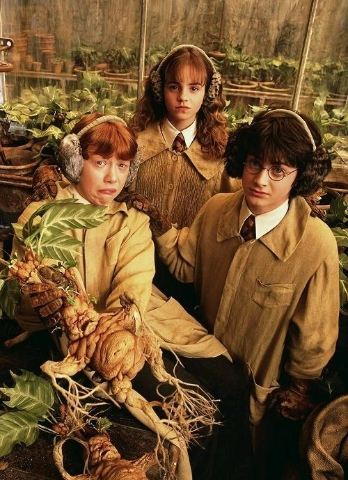 Obrázek nahrál Lulu✨️