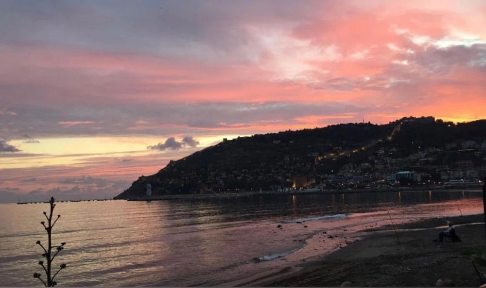 Image uploaded by Damla