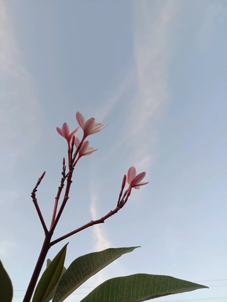 รูปที่อัพโหลดโดย Jajaa