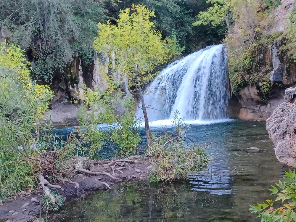 Image uploaded by Dominic