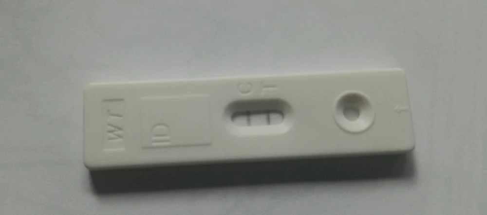 Afbeelding geüpload door 🦋Spiritual Dutch Girl🦋