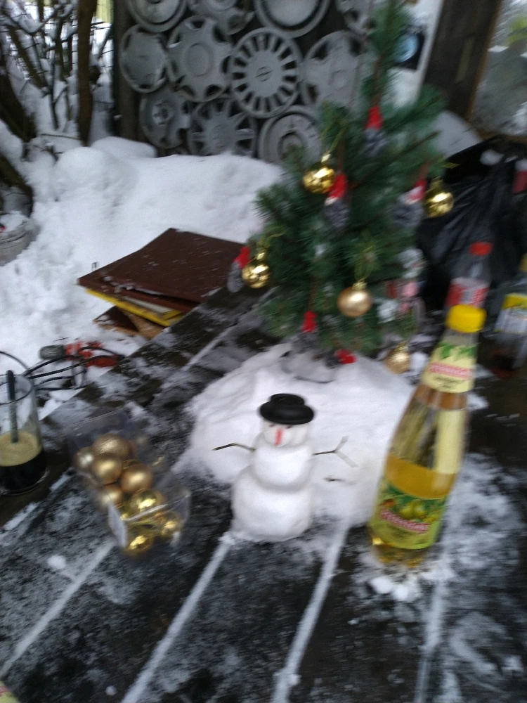 Фото загрузил Александр