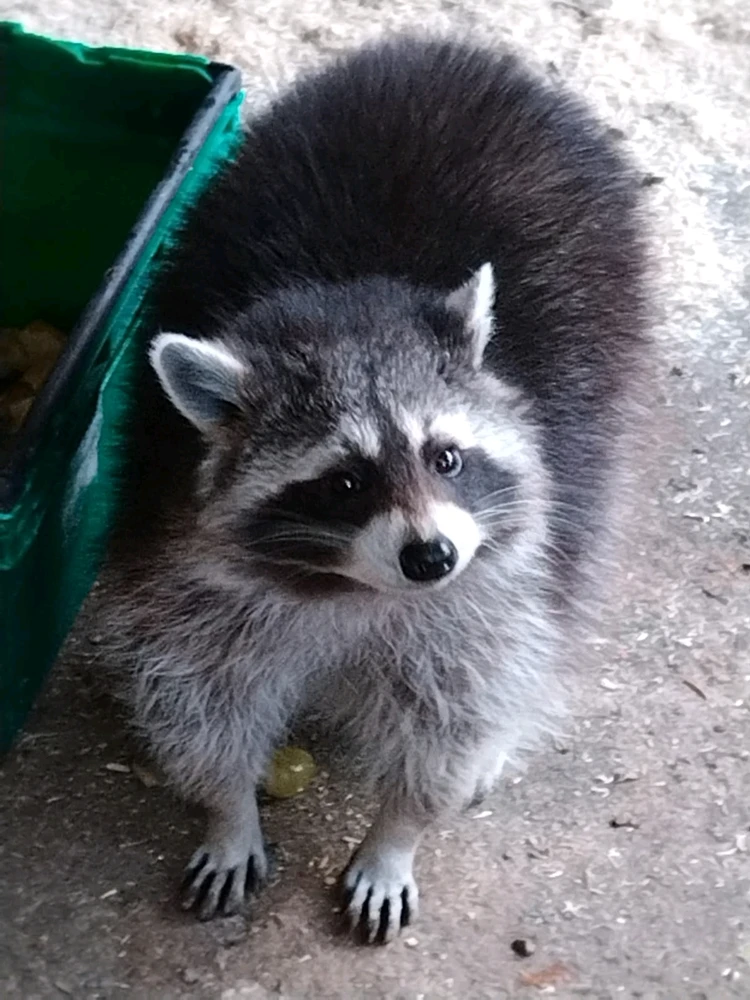 Image ajoutée par Vanessa