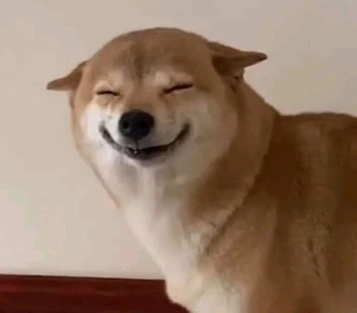 Image uploaded by Mai