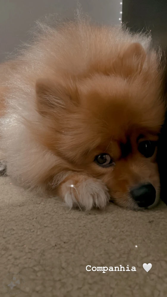 Imagem enviada por Mariana