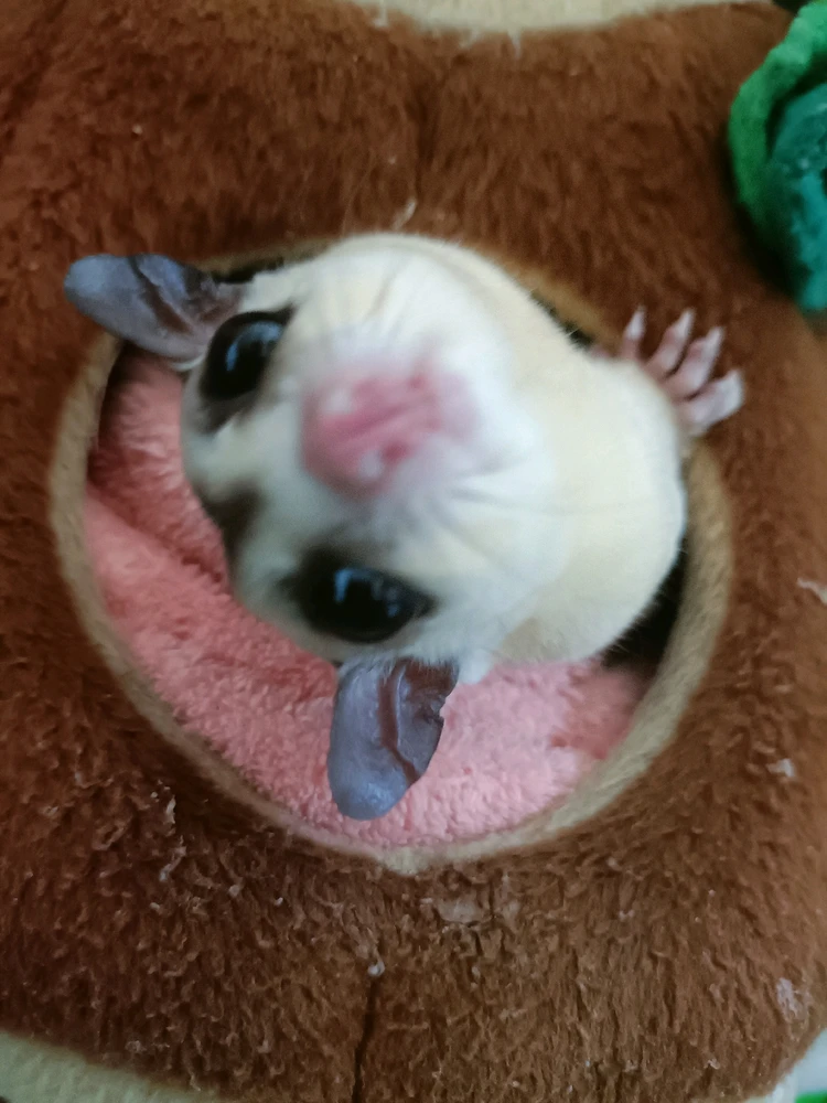 Image uploaded by Ujean