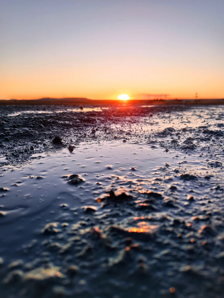 Kaan tarafından yüklenen görsel