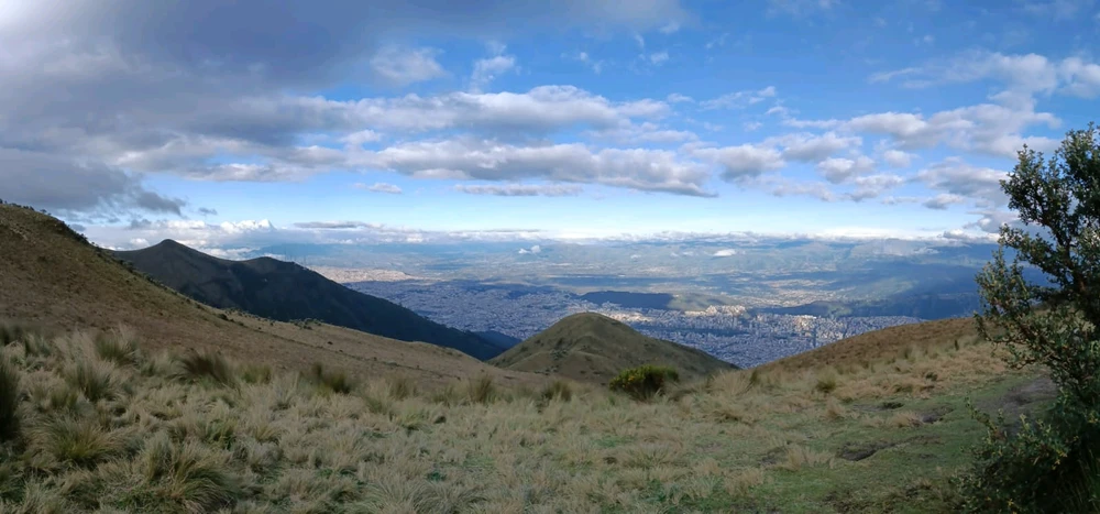 Image uploaded by Jazmin