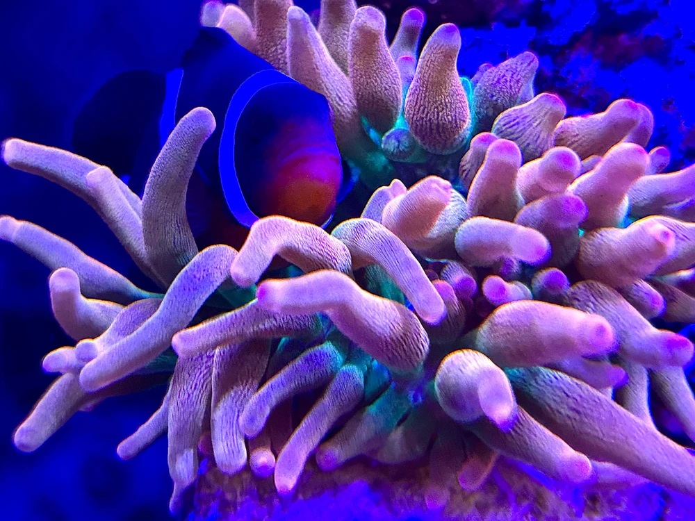 Image uploaded by Alex