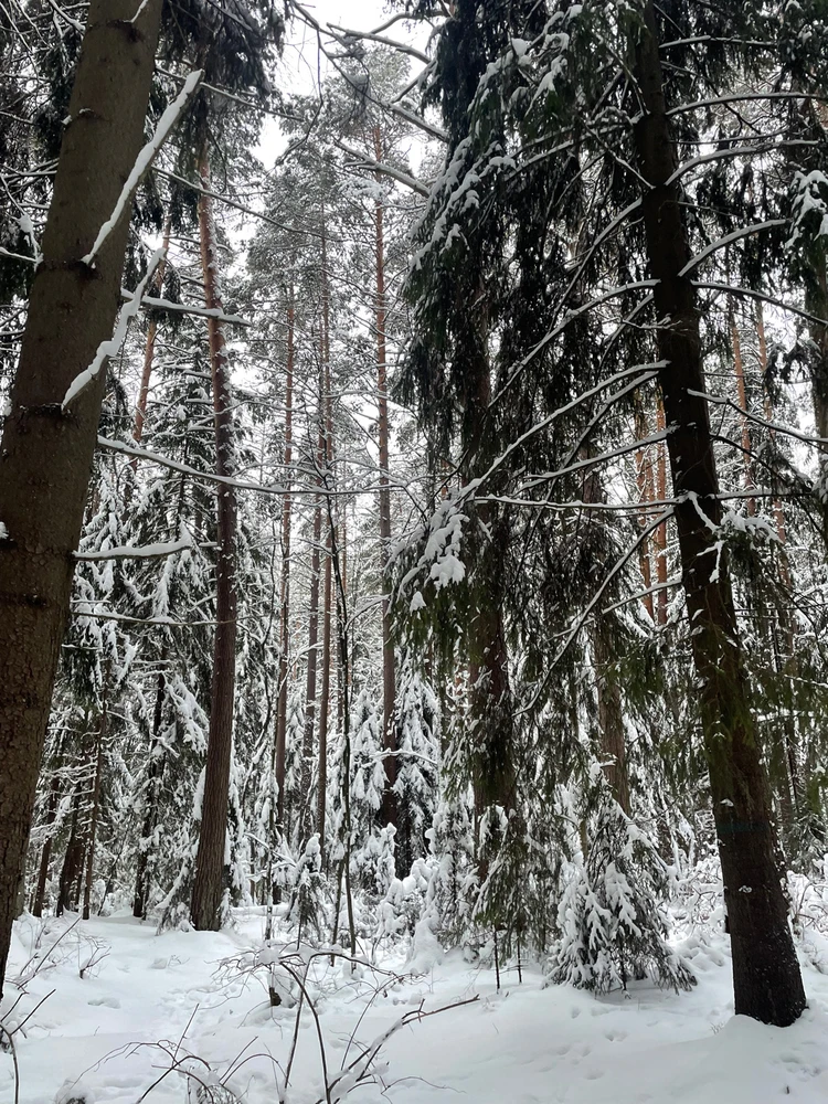 Фото загрузил Yulia