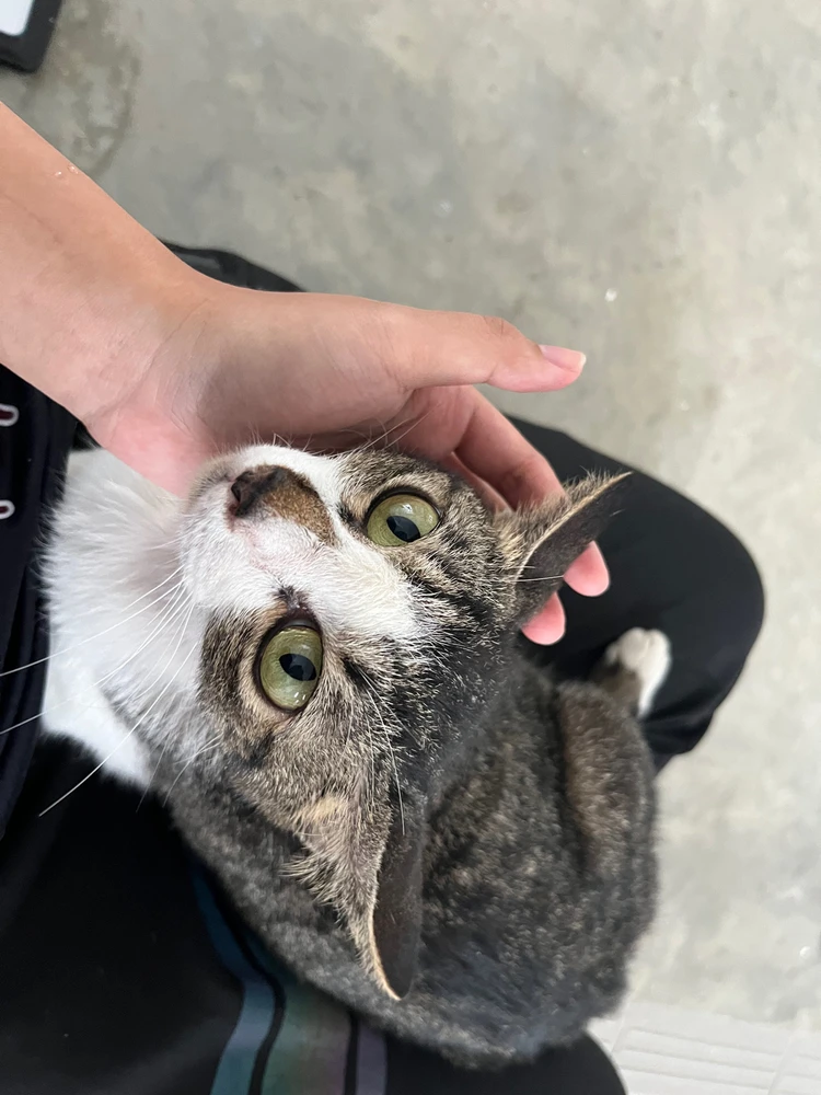 Image uploaded by Remie