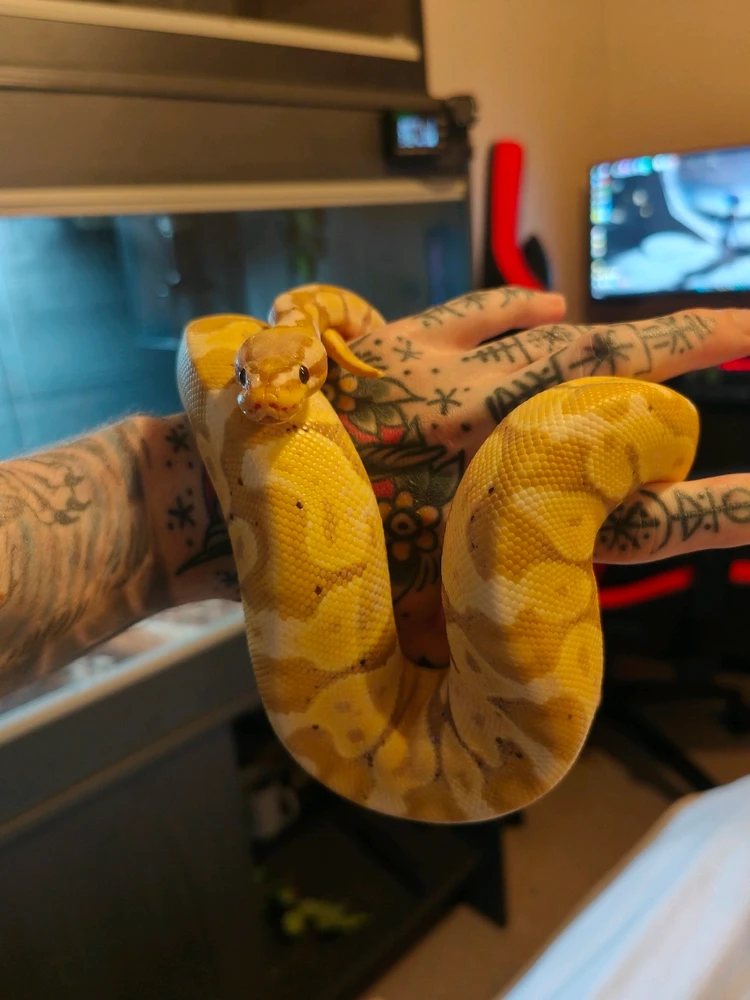 Image uploaded by Michael