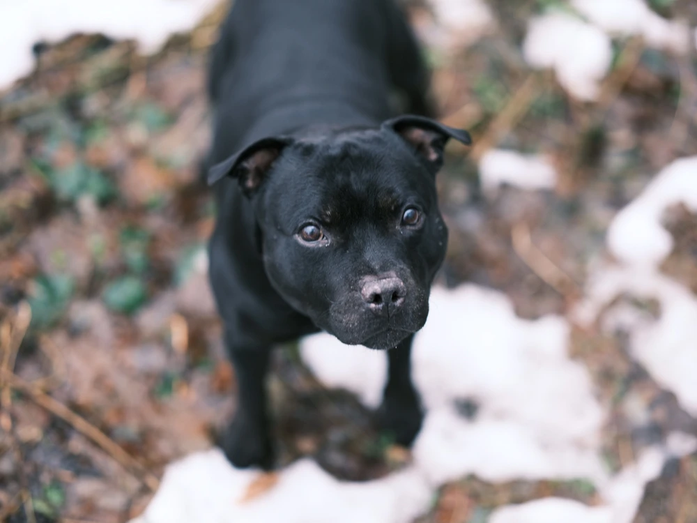 Image uploaded by Łukasz