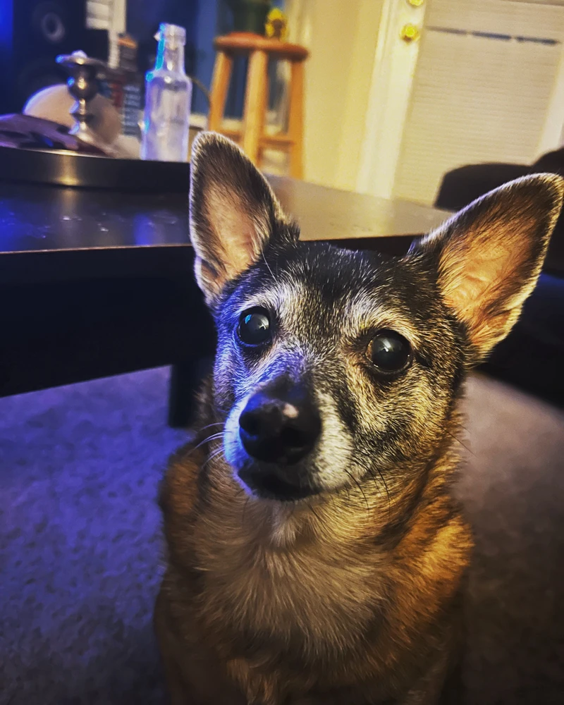 Image uploaded by Ben