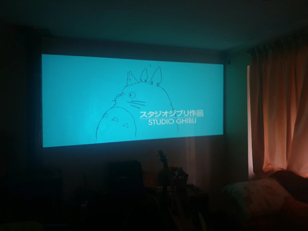 Noche de película en casa: mi vecino Totoro