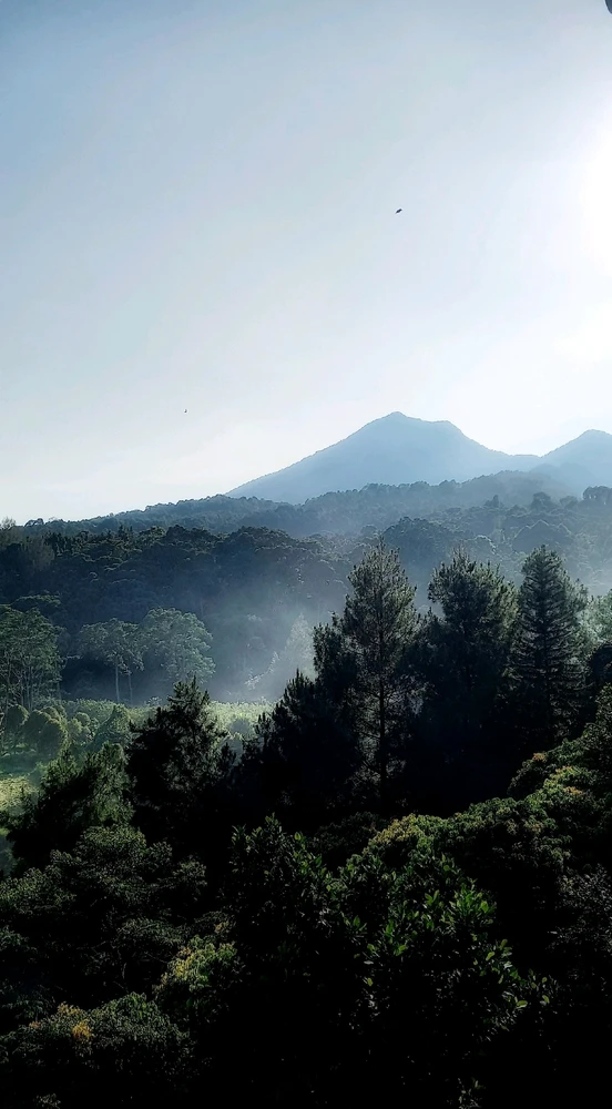 Image uploaded by ALIKA