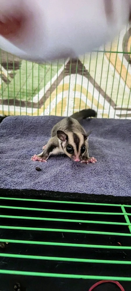 Gambar diunggah oleh Okky Hariansyah