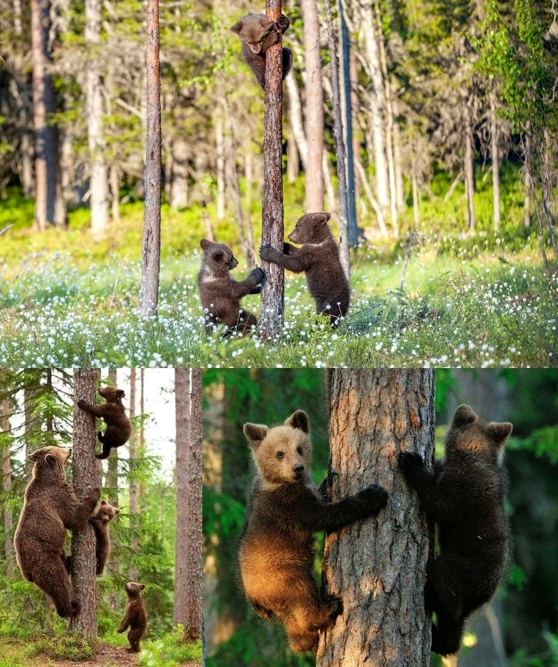 Bild hochgeladen von Felix